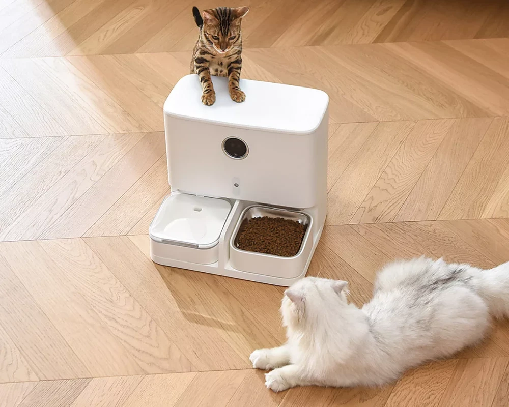 best automatic pet feeder for dogs